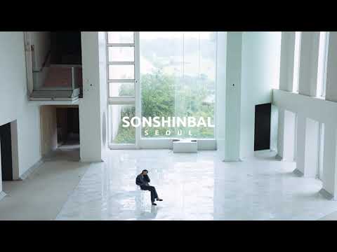 SONSHINBAL-202